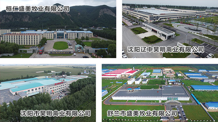 1702104970647563.jpg 屠宰加工(gōng)01.jpg