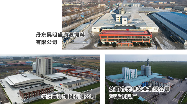 飼料加工(gōng)01.jpg